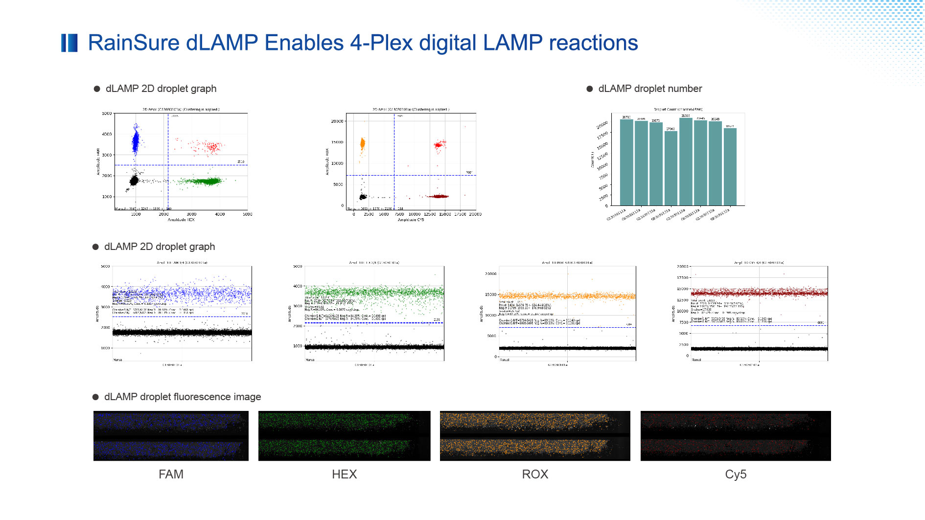 تقديم DDLAMP Mastermix من Rainsure Scientific