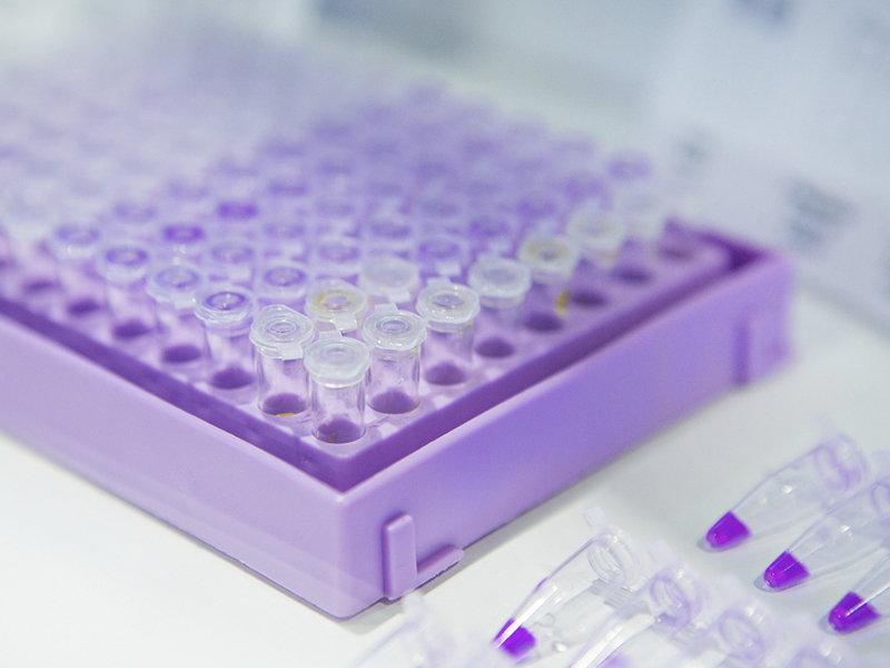نظام PCR الرقمي ، جهاز PCR المحمول
